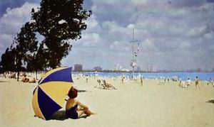 Montrose Wilson Beach Lake Michigan.JPG