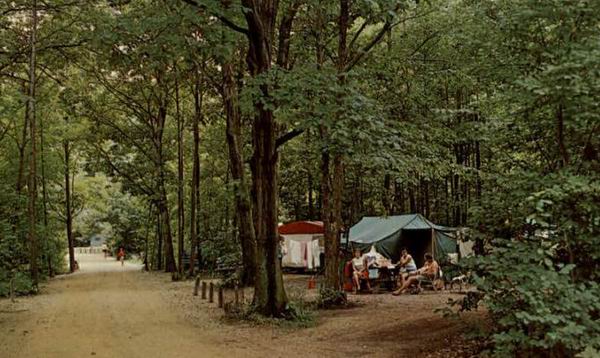 Sawyer (newer photo)