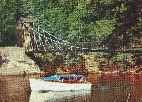 Ironwood (newer photo)