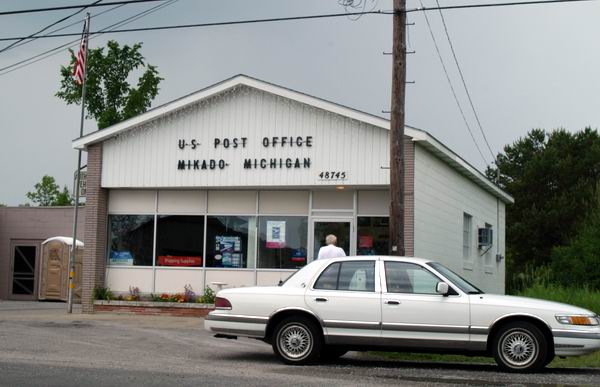 Mikado (newer photo)