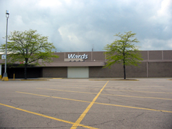 Wards Livonia