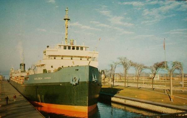 Golden Hind Soo Locks (newer photo)