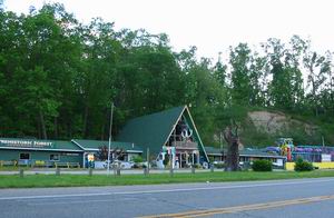 Prehistoric Forest Irish Hills.JPG