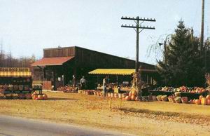 Willow Bend Farm Market Fennville
