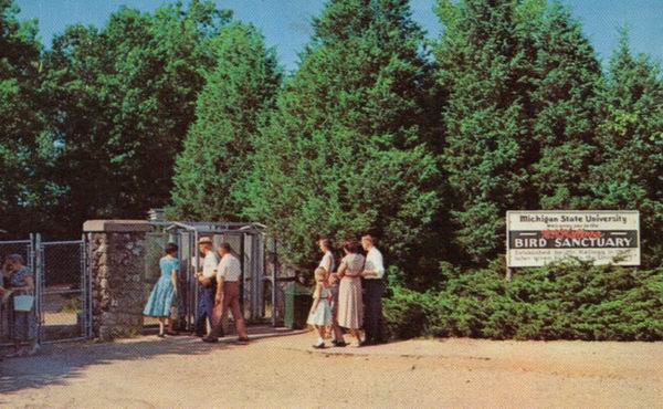 Kellog Bird Sanctuary (newer photo)