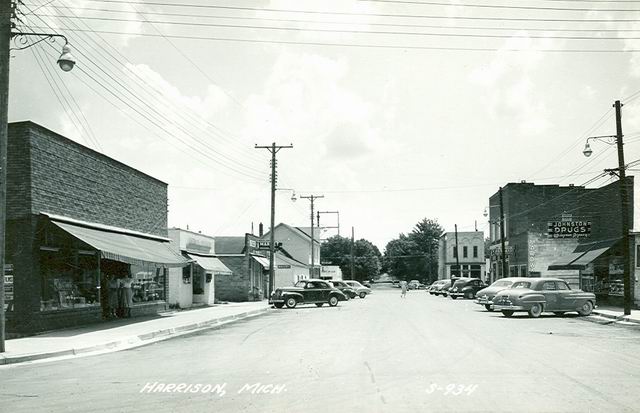 Harrison (newer photo)