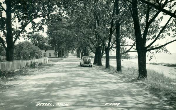 Hessel (newer photo)