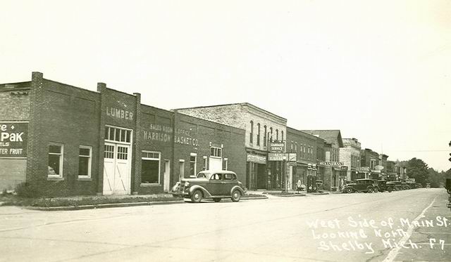 Shelby (newer photo)